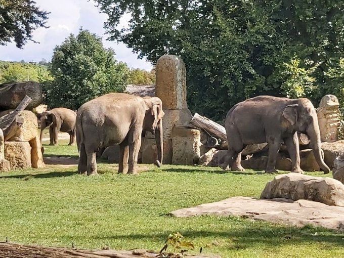 Exkurze do pražské zoologické zahrady