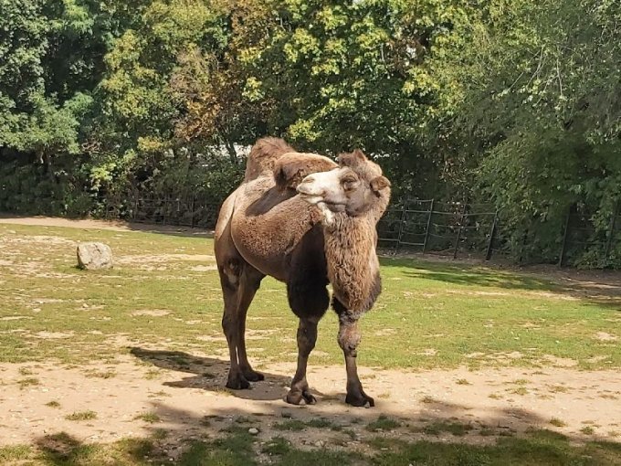 Exkurze do pražské zoologické zahrady