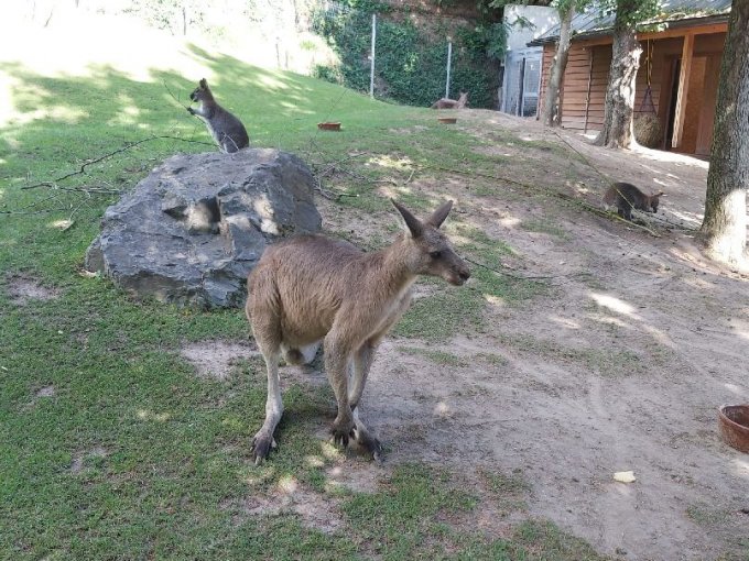 Exkurze do pražské zoologické zahrady