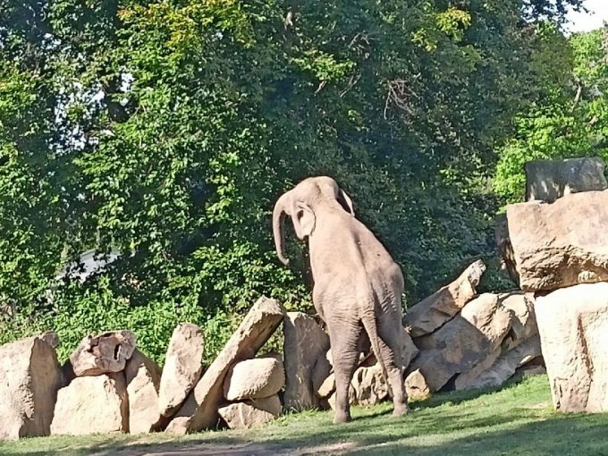 Exkurze do pražské zoologické zahrady