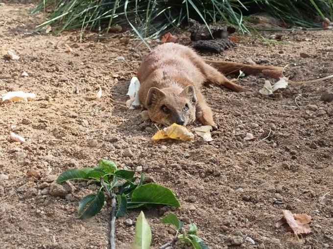 Exkurze do pražské zoologické zahrady