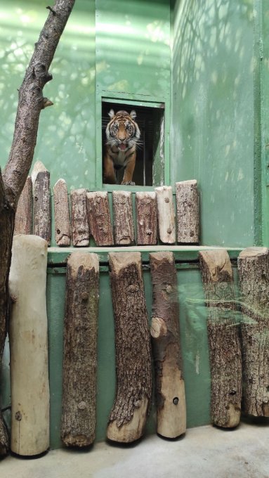 Exkurze do pražské zoologické zahrady