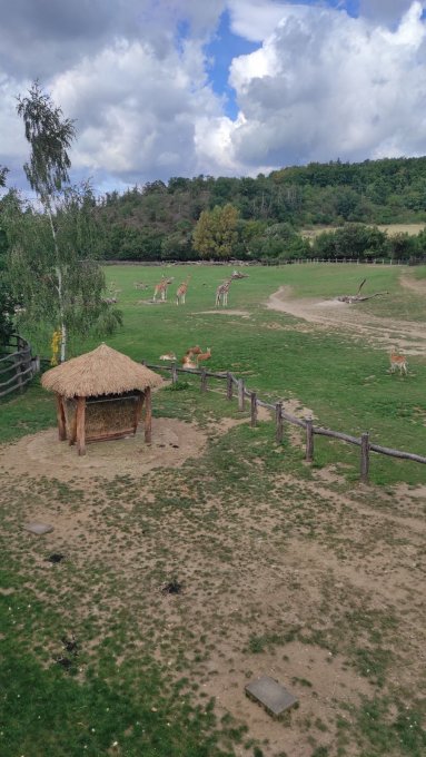 Exkurze do pražské zoologické zahrady