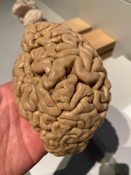 Výlet do Linze – den plný techniky, zábavy a 3D zážitků