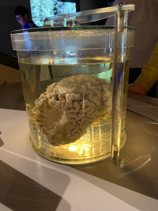 Výlet do Linze – den plný techniky, zábavy a 3D zážitků