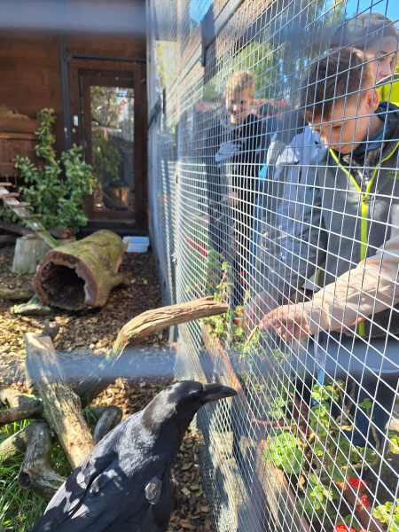 Exkurze do Záchranné stanice a Domu přírody v Třeboni