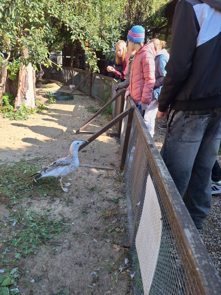Exkurze do Záchranné stanice a Domu přírody v Třeboni
