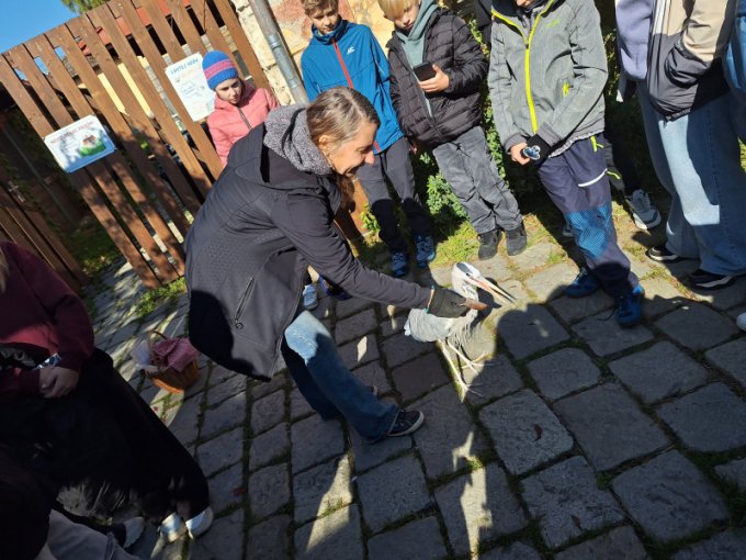 Exkurze do Záchranné stanice a Domu přírody v Třeboni
