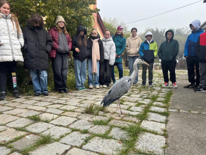 Exkurze do Záchranné stanice a Domu přírody v Třeboni