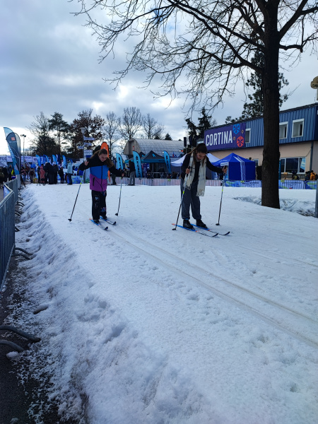 Zimní olympijský festival