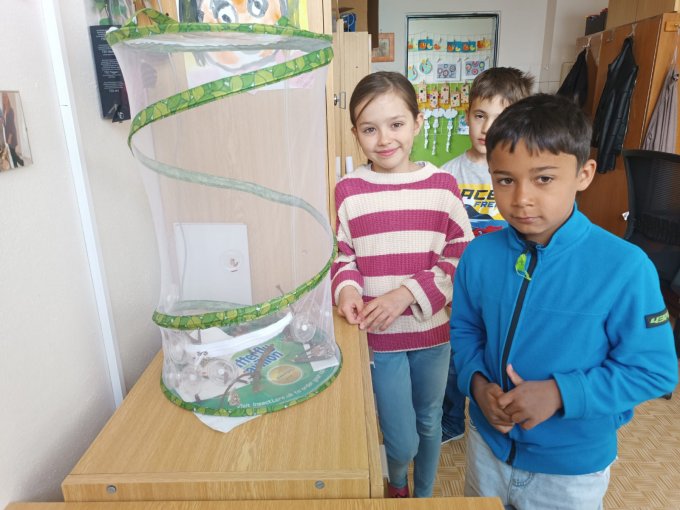 Motýlí zahrádka ve 3. A