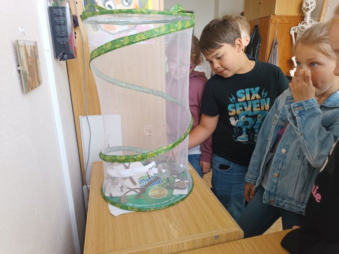 Motýlí zahrádka ve 3. A