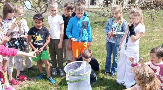 Motýlí zahrádka ve 3. A