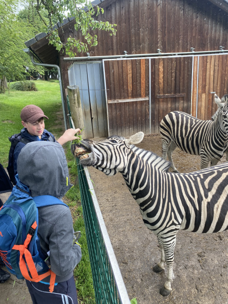 Němčináři v Zoo Altenfelden