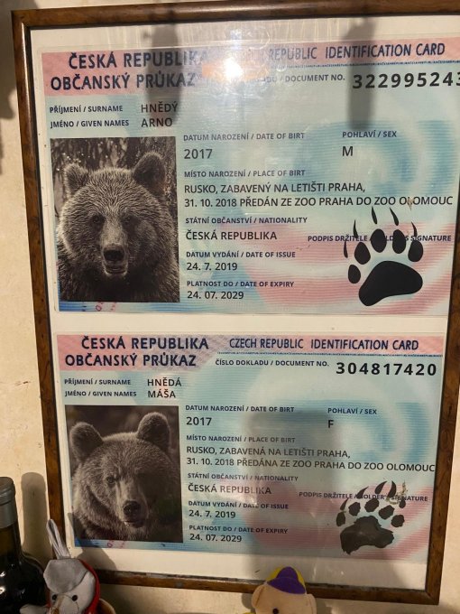 Projektový den v Českém Krumlově