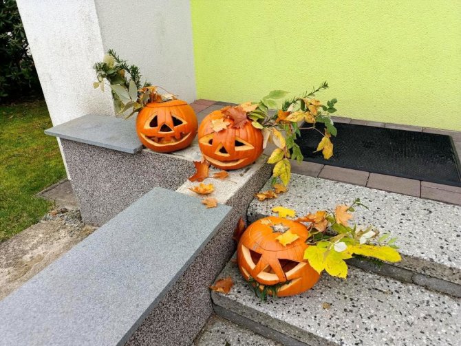 Druháci chystali svátek strašidel a procvičili si druhy vět