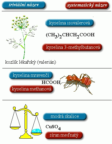 foto/nazevanorg